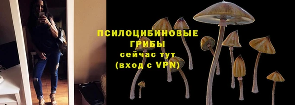 a pvp Нея