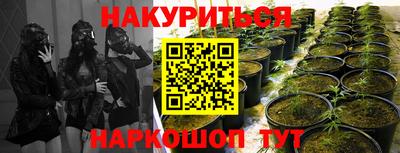 мяу мяу мука Бугуруслан