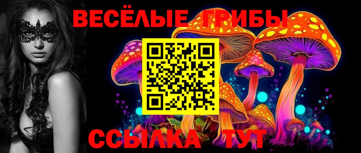 Ессентуки  Псилоцибиновые грибы Psilocybine cubensis  Вход с VPN 